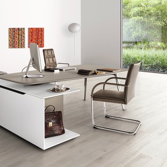 Desk by Walter Knoll